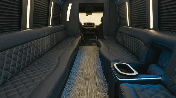 18 Passenger Party Bus Interior